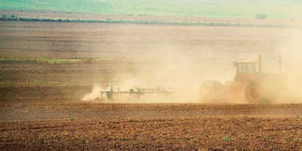 field with dust problem that has to be treated with anti dust NODUST Fs100